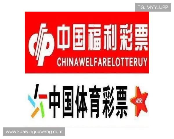 最新全国彩票开奖实时查询平台助您快速掌握中奖信息