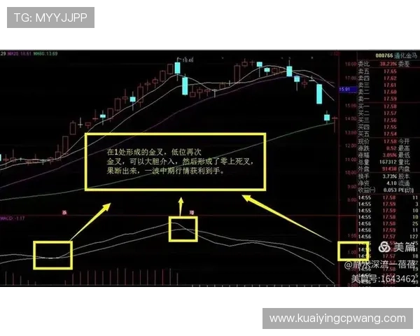 精准解析十一选五开奖记录助力投注决策与趋势分析方法探索